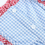 Blue Gingham American Flag Ruffle Dress - Lil Cactus