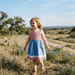 Denim Look and Red Gingham A - Line Dress - Lil Cactus