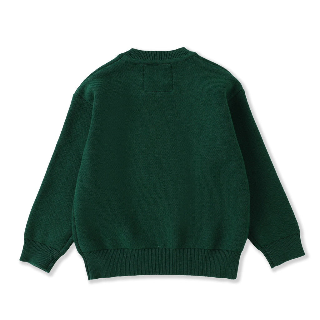 Green Santa Christmas Sweater - Lil Cactus