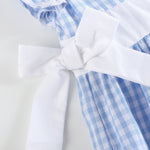 Light Blue Gingham A - Line Dress - Lil Cactus