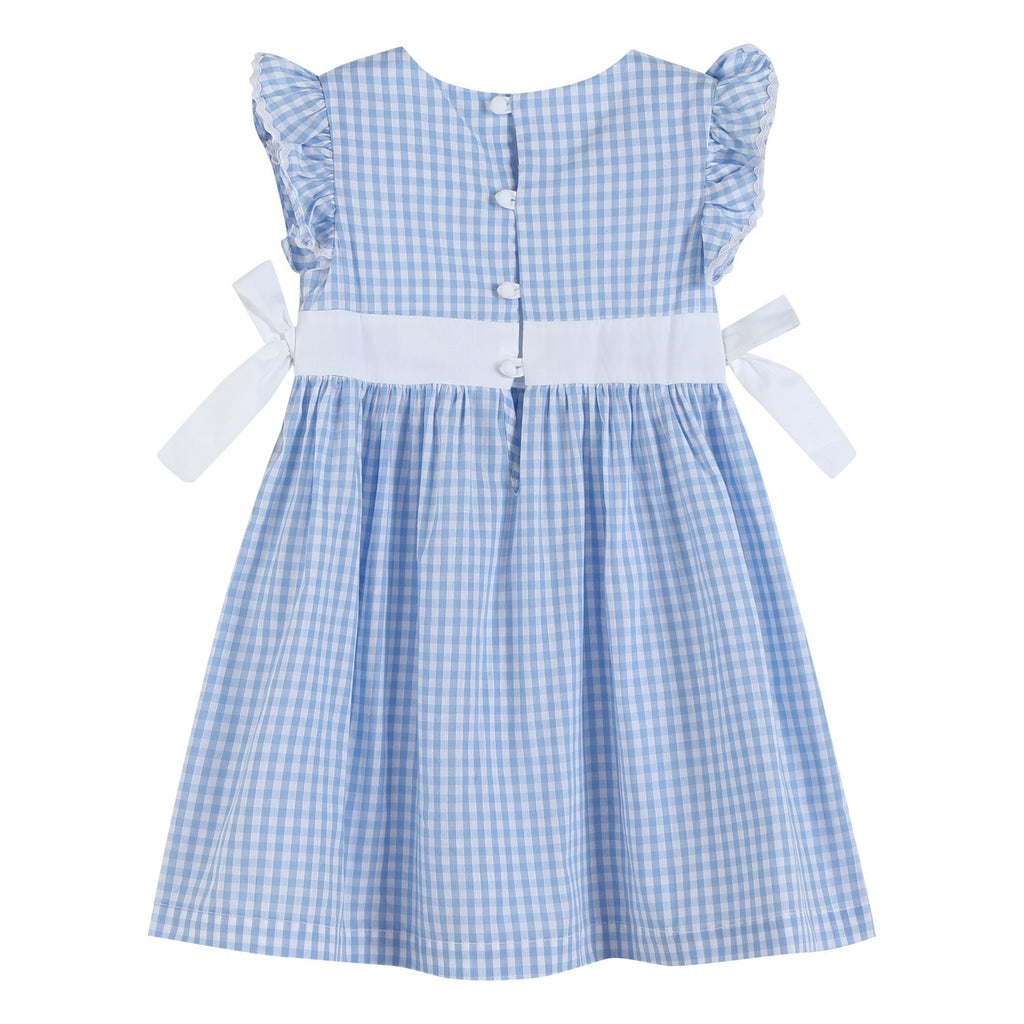 Light Blue Gingham A - Line Dress - Lil Cactus