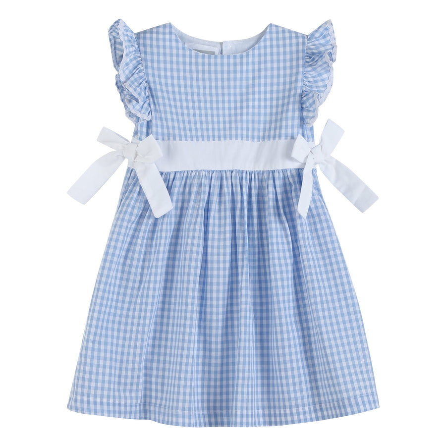Light Blue Gingham A - Line Dress - Lil Cactus