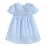Light Blue Gingham Smocked Dress - Lil Cactus