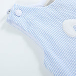 Light Blue Seersucker Pom Pom Bunny Swing Dress - Lil Cactus
