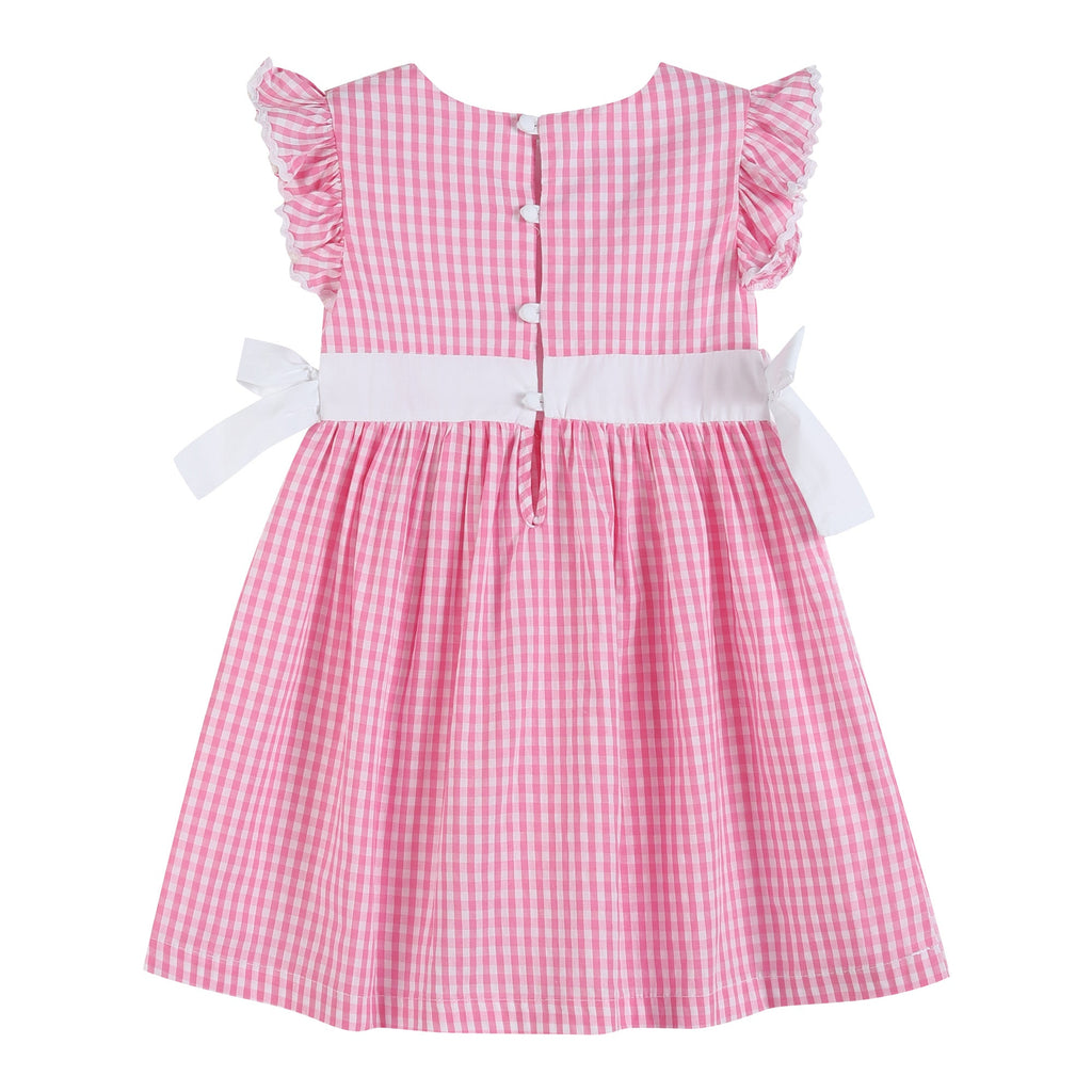 Light Pink Gingham A - Line Dress - Lil Cactus