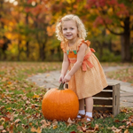 Orange Gingham Ruffle Pumpkin Bow Dress - Lil Cactus