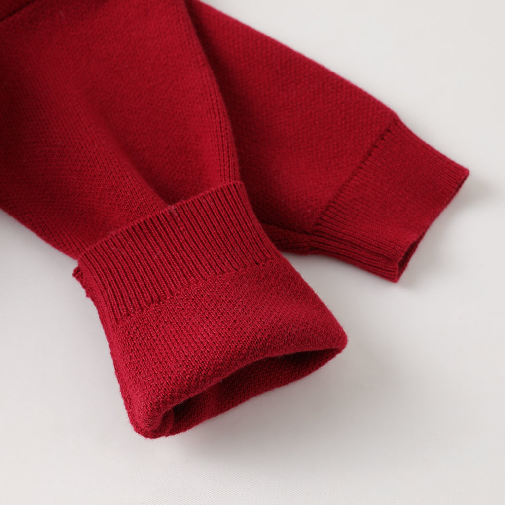 Red Santa Sweater - Lil Cactus