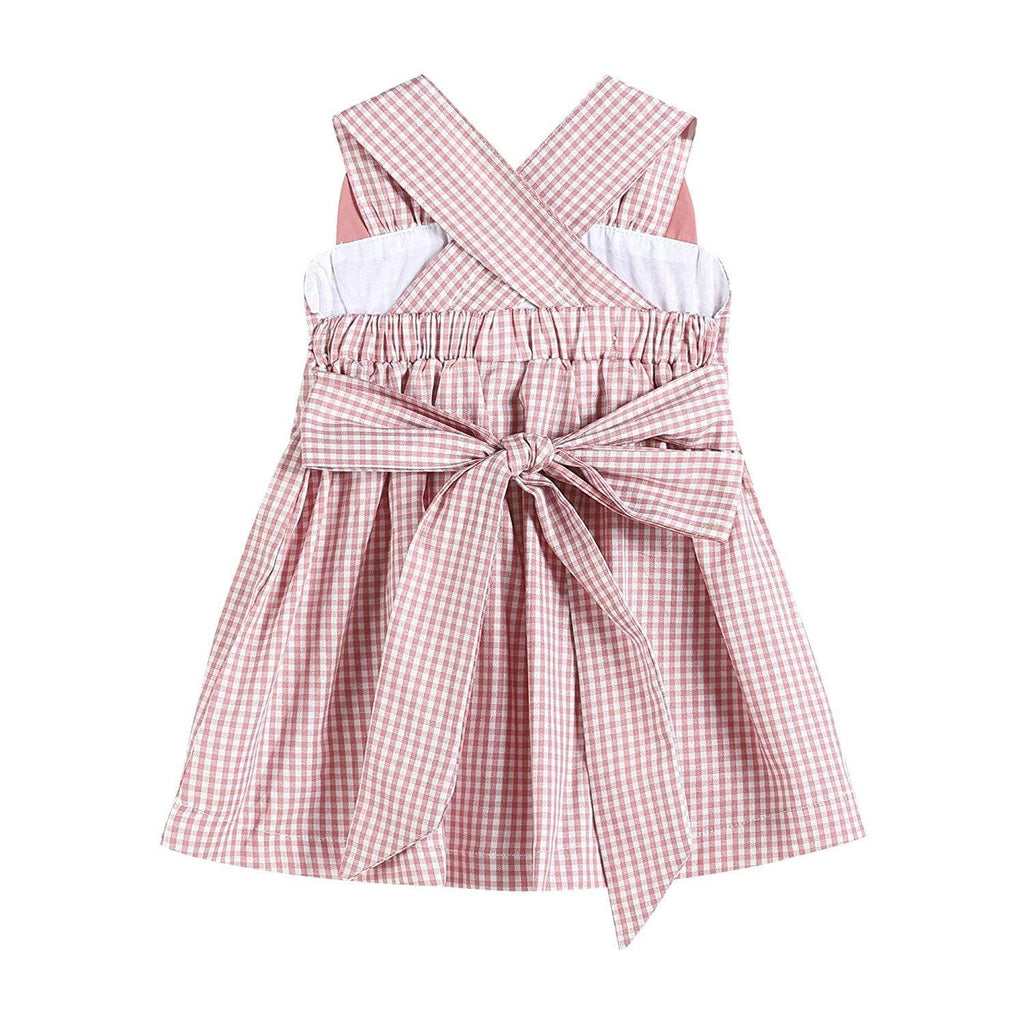 Rose Gingham Little Piggy Sleeveless A - Line Dress - Lil Cactus