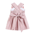 Rose Gingham Little Piggy Sleeveless A - Line Dress - Lil Cactus