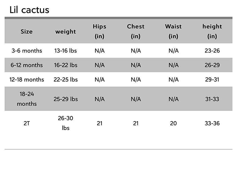 Rose Gingham Little Piggy Sleeveless A - Line Dress - Lil Cactus