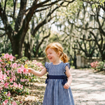 Royal Blue Gingham A - Line Dress - Lil Cactus