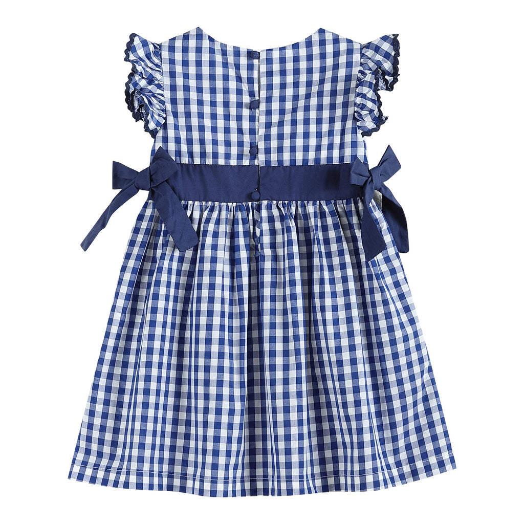 Royal Blue Gingham A - Line Dress - Lil Cactus