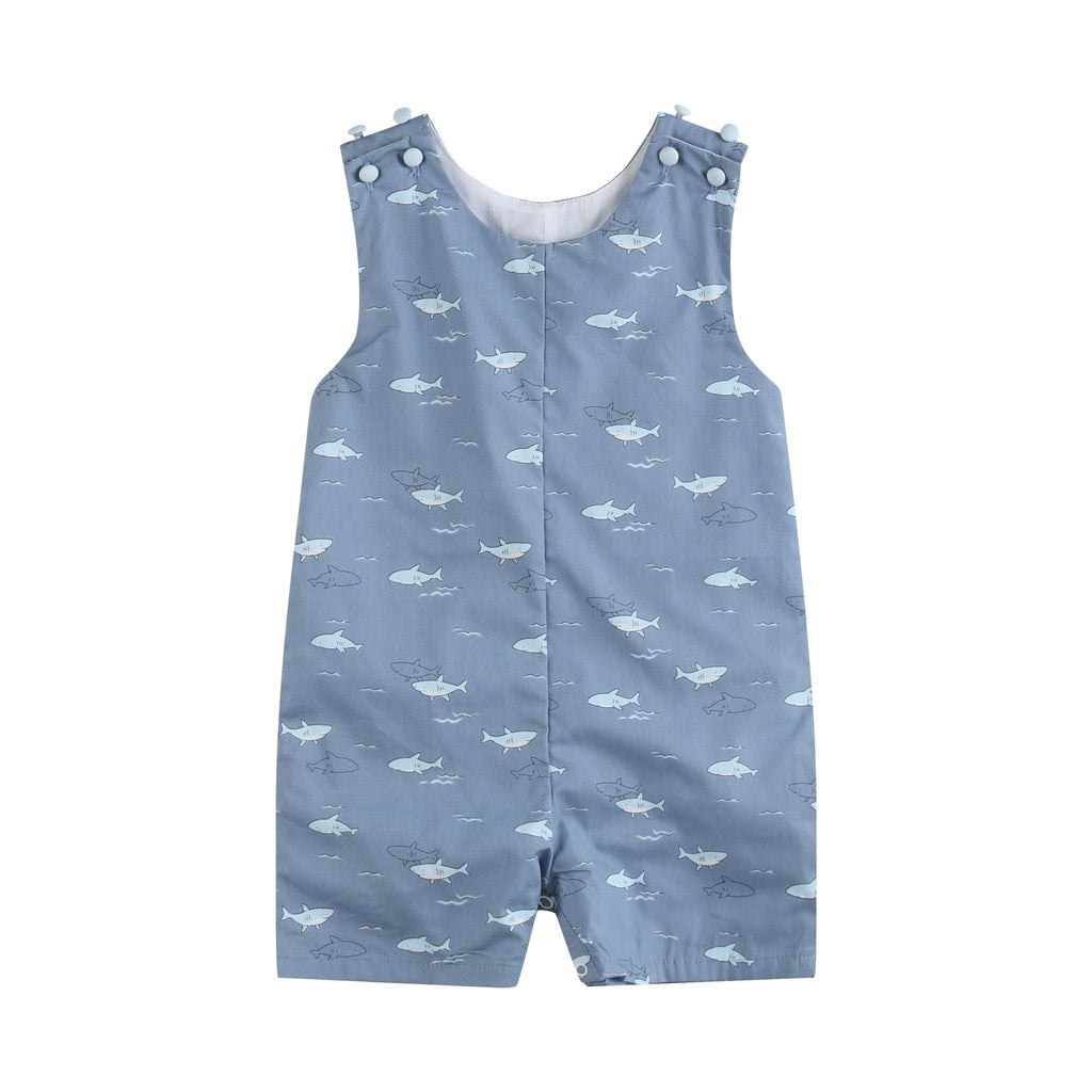 sky factory 4 cactus Brians Blue Skies JS444