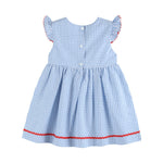 All American Girl' Blue Gingham Dress - Lil Cactus