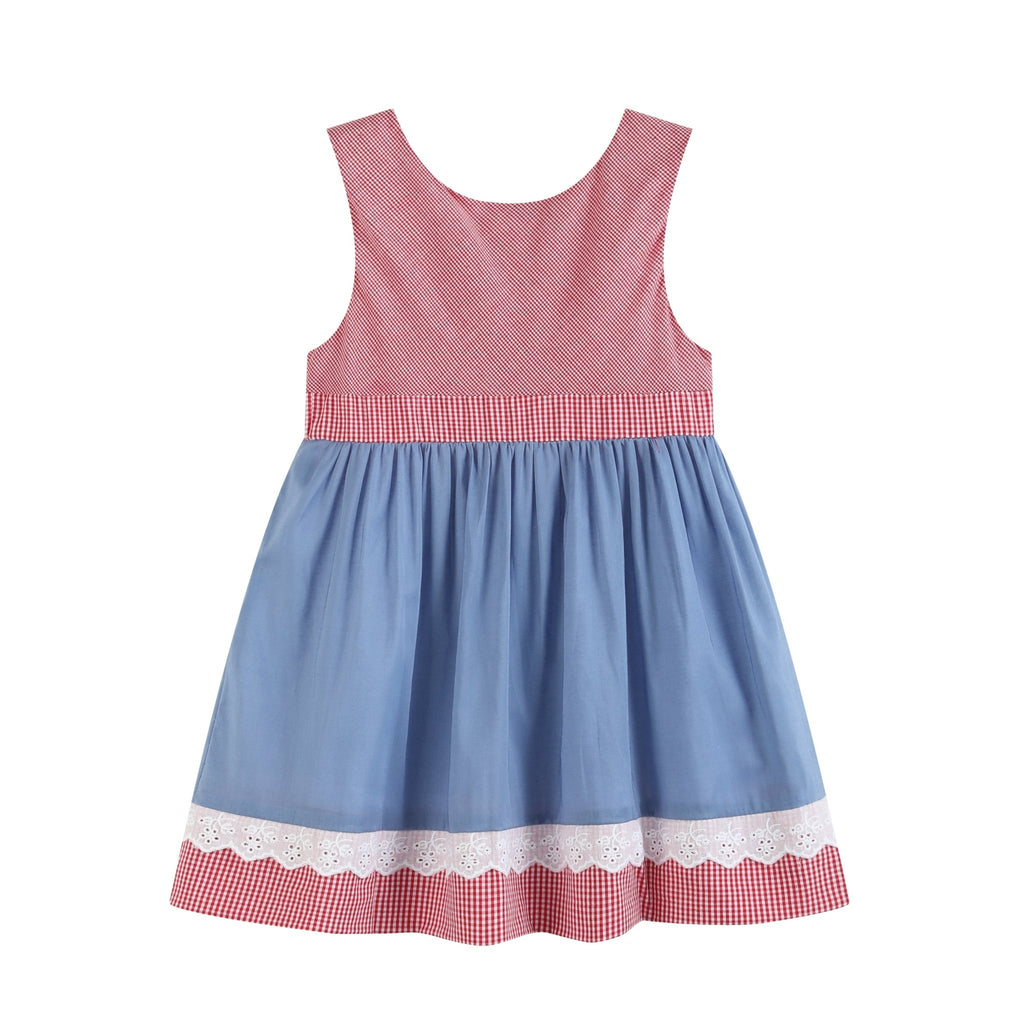 Denim Look and Red Gingham A - Line Dress - Lil Cactus