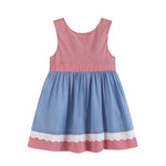 Denim Look and Red Gingham A - Line Dress - Lil Cactus