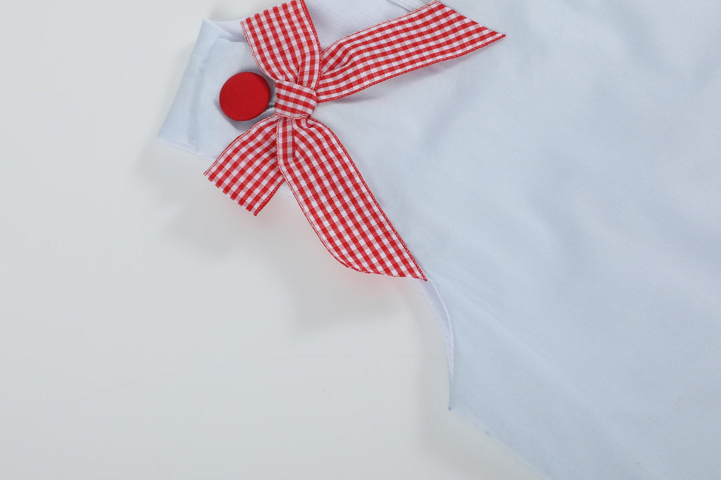 Light Blue Barnyard A - Line Dress - Lil Cactus