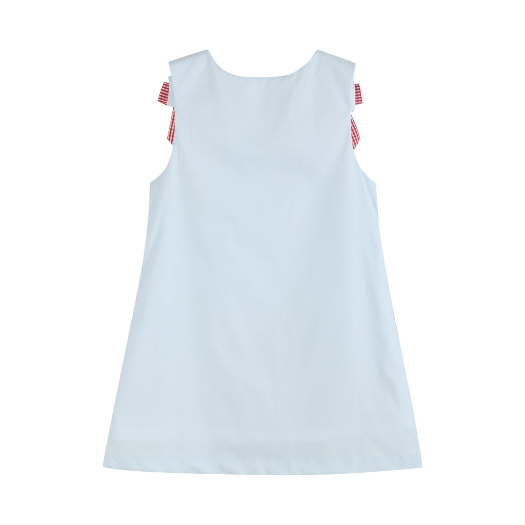 Light Blue Barnyard A - Line Dress - Lil Cactus